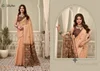Shanaya By Gobuni Silk Zari Border Patola Pallu Saree Collection